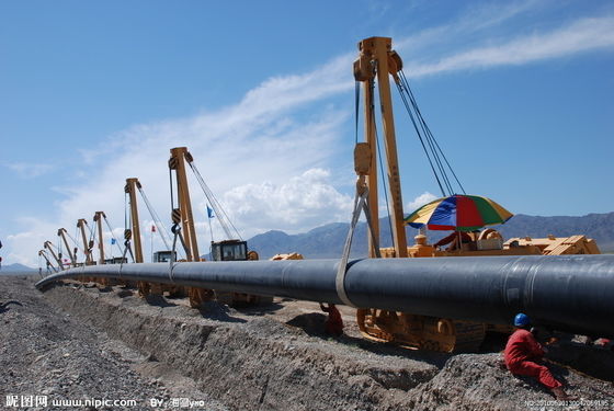 Δόρυβος UHMWPE ανθεκτικός στην φθορά για την παροχή βιομηχανικών χημικών υγρών